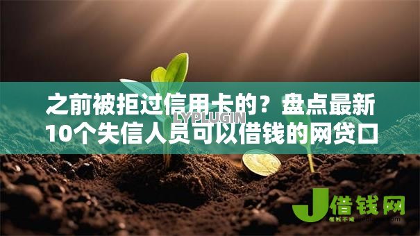 之前被拒过信用卡的？盘点最新10个失信人员可以借钱的网贷口子