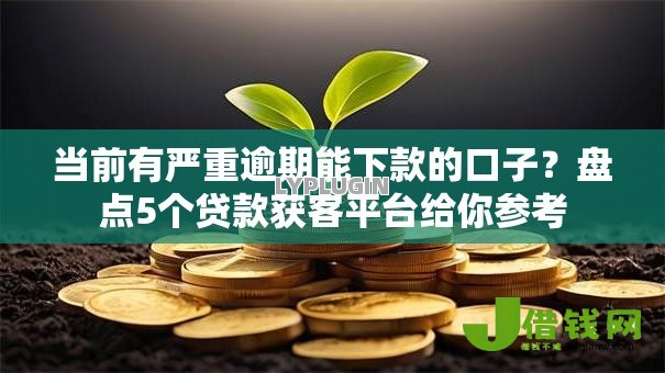 当前有严重逾期能下款的口子?盘点5个贷款获客平台给你参考 当前有严重逾期能下款的口子?盘点5个贷款获客平台给你参考