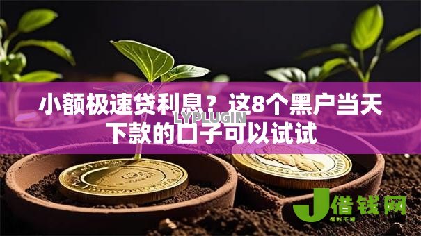 小额极速贷利息?这8个黑户当天下款的口子可以试试 小额极速贷利息?这8个黑户当天下款的口子可以试试