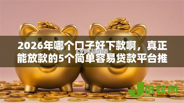 2026年哪个口子好下款啊，真正能放款的5个简单容易贷款平台推荐