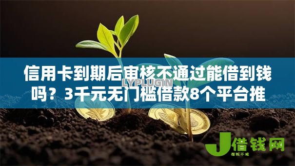 信用卡到期后审核不通过能借到钱吗？3千元无门槛借款8个平台推荐