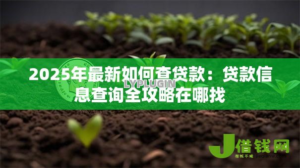 2025年最新如何查贷款：贷款信息查询全攻略在哪找