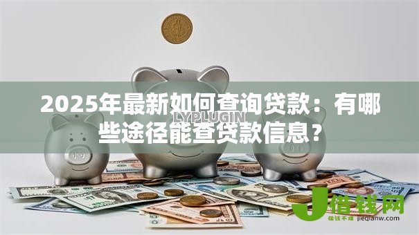 2025年最新如何查询贷款:有哪些途径能查贷款信息? 2025年最新如何查询贷款:有哪些途径能查贷款信息?