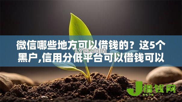 微信哪些地方可以借钱的？这5个黑户,信用分低平台可以借钱可以试试