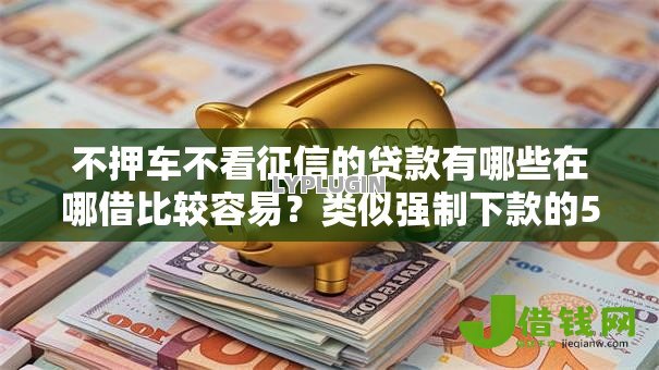不押车不看征信的贷款有哪些在哪借比较容易？类似强制下款的5个口子参考
