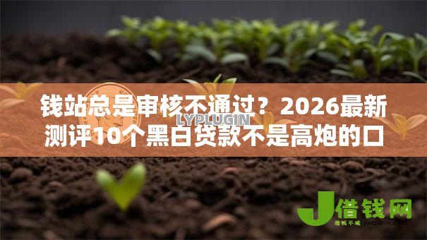 钱站总是审核不通过?2026最新测评10个黑白贷款不是高炮的口子 钱站总是审核不通过?2026最新测评10个黑白贷款不是高炮的口子