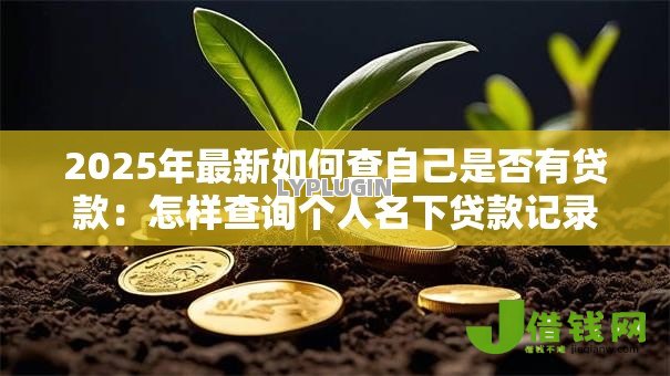 2025年最新如何查自己是否有贷款:怎样查询个人名下贷款记录 2025年最新如何查自己是否有贷款:怎样查询个人名下贷款记录