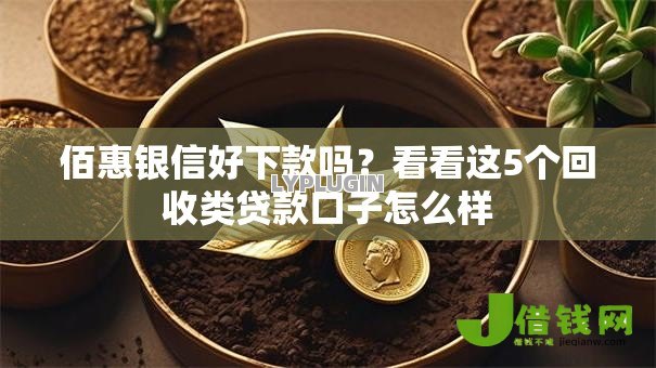 佰惠银信好下款吗？看看这5个回收类贷款口子怎么样