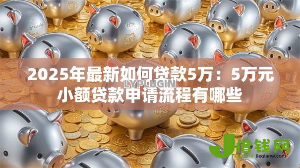 2025年最新如何贷款5万：5万元小额贷款申请流程有哪些