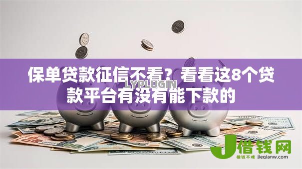 保单贷款征信不看？看看这8个贷款平台有没有能下款的