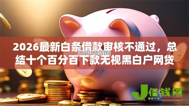 2026最新白条借款审核不通过,总结十个百分百下款无视黑白户网贷口子! 2026最新白条借款审核不通过,总结十个百分百下款无视黑白户网贷口子!