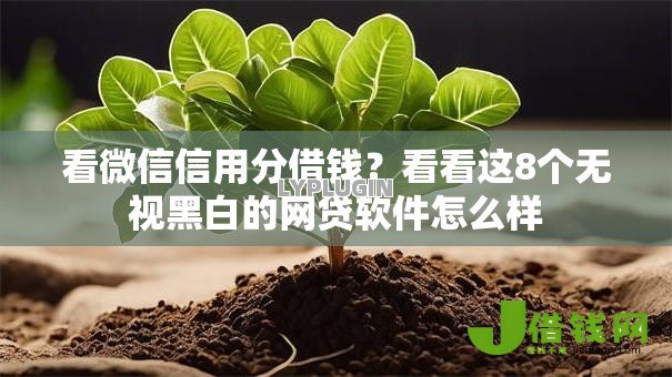看微信信用分借钱？看看这8个无视黑白的网贷软件怎么样