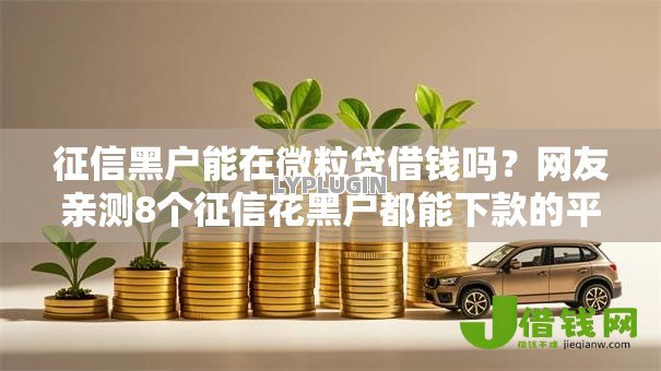 征信黑户能在微粒贷借钱吗?网友亲测8个征信花黑户都能下款的平台盘点 征信黑户能在微粒贷借钱吗?网友亲测8个征信花黑户都能下款的平台盘点
