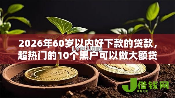 2026年60岁以内好下款的贷款，超热门的10个黑户可以做大额贷款口子推荐
