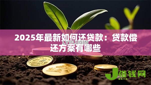 2025年最新如何还贷款：贷款偿还方案有哪些