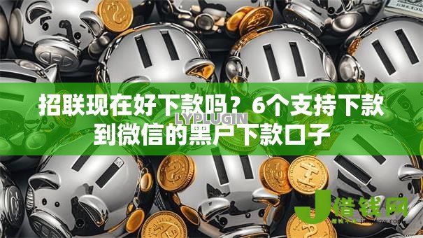 招联现在好下款吗?6个支持下款到微信的黑户下款口子 招联现在好下款吗?6个支持下款到微信的黑户下款口子