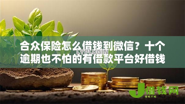 合众保险怎么借钱到微信？十个逾期也不怕的有借款平台好借钱