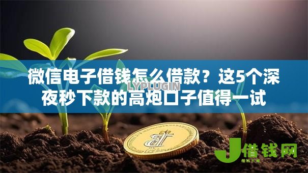 微信电子借钱怎么借款?这5个深夜秒下款的高炮口子值得一试 微信电子借钱怎么借款?这5个深夜秒下款的高炮口子值得一试