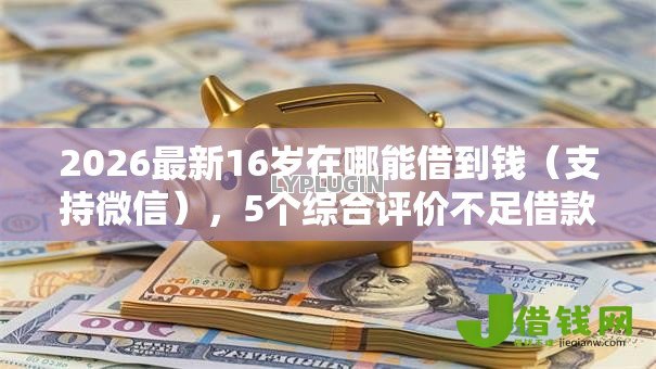 2026最新16岁在哪能借到钱(支持微信),5个综合评价不足借款平台能够借到钱无私分享 2026最新16岁在哪能借到钱(支持微信),5个综合评价不足借款平台能够借到钱无私分享