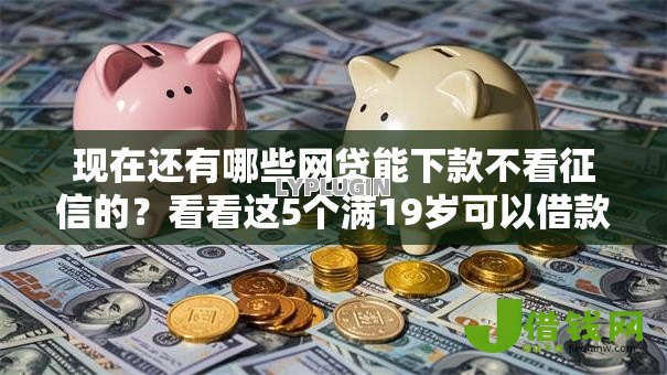现在还有哪些网贷能下款不看征信的？看看这5个满19岁可以借款的软件怎么样