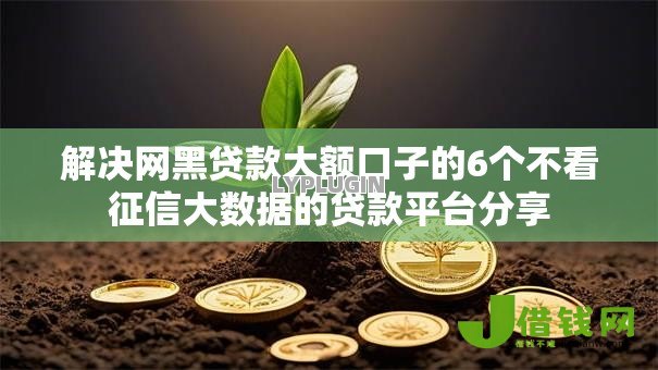 解决网黑贷款大额口子的6个不看征信大数据的贷款平台分享