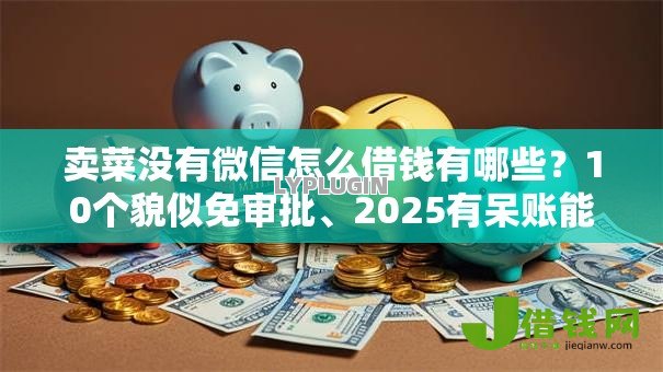 卖菜没有微信怎么借钱有哪些?10个貌似免审批、2025有呆账能下款的口子合集 卖菜没有微信怎么借钱有哪些?10个貌似免审批、2025有呆账能下款的口子合集