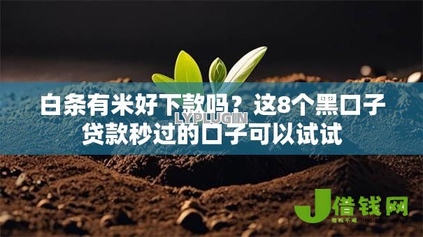 白条有米好下款吗?这8个黑口子贷款秒过的口子可以试试 白条有米好下款吗?这8个黑口子贷款秒过的口子可以试试