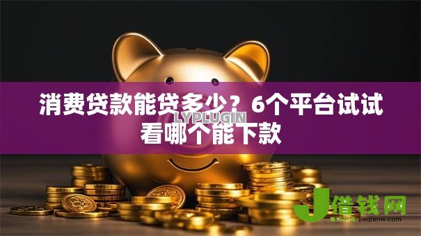 消费贷款能贷多少？6个平台试试看哪个能下款