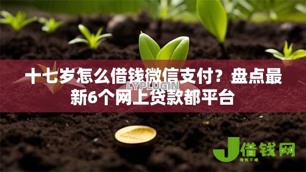 十七岁怎么借钱微信支付？盘点最新6个网上贷款都平台