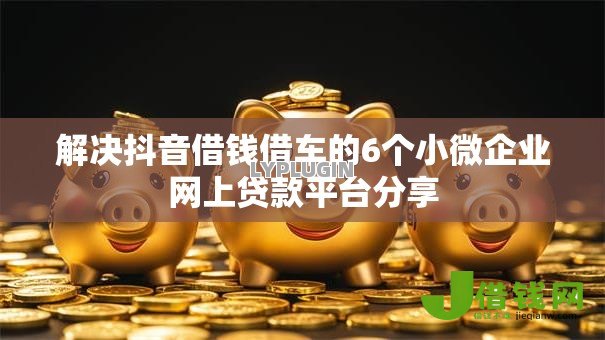 解决抖音借钱借车的6个小微企业网上贷款平台分享