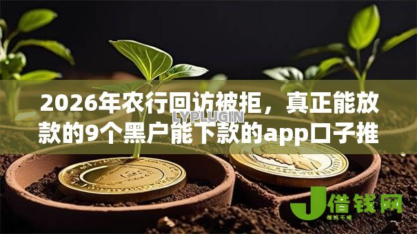 2026年农行回访被拒，真正能放款的9个黑户能下款的app口子推荐