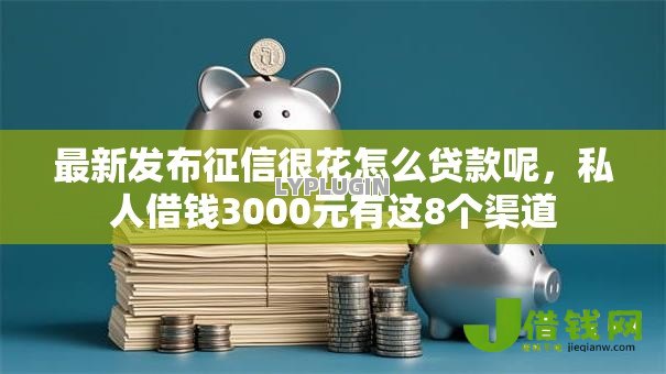 最新发布征信很花怎么贷款呢，私人借钱3000元有这8个渠道