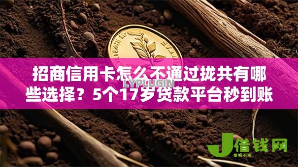 招商信用卡怎么不通过拢共有哪些选择？5个17岁贷款平台秒到账详解