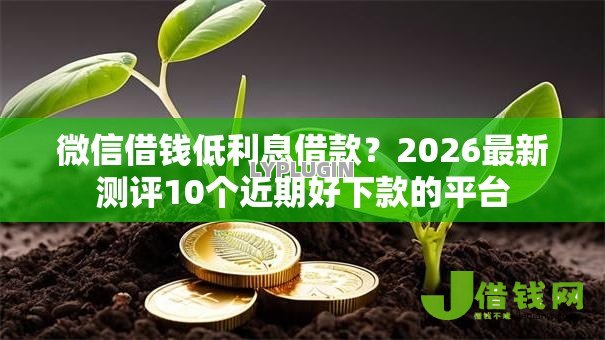 微信借钱低利息借款?2026最新测评10个近期好下款的平台 微信借钱低利息借款?2026最新测评10个近期好下款的平台