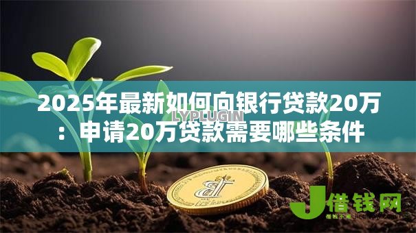 2025年最新如何向银行贷款20万:申请20万贷款需要哪些条件 2025年最新如何向银行贷款20万:申请20万贷款需要哪些条件