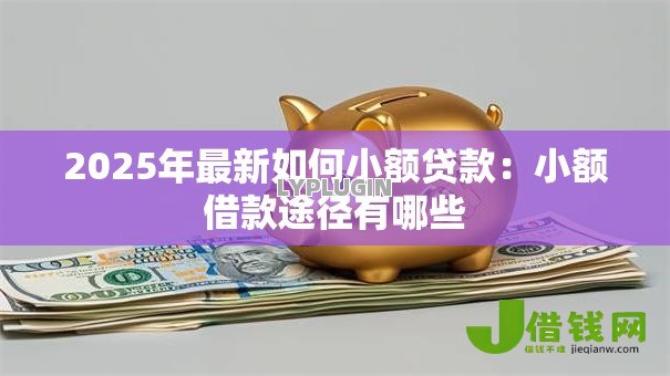 2025年最新如何小额贷款:小额借款途径有哪些 2025年最新如何小额贷款:小额借款途径有哪些