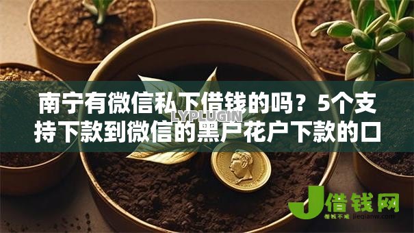 南宁有微信私下借钱的吗?5个支持下款到微信的黑户花户下款的口子2025 南宁有微信私下借钱的吗?5个支持下款到微信的黑户花户下款的口子2025