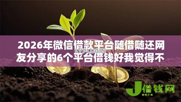 2026年微信借款平台随借随还网友分享的6个平台借钱好我觉得不错! 2026年微信借款平台随借随还网友分享的6个平台借钱好我觉得不错!