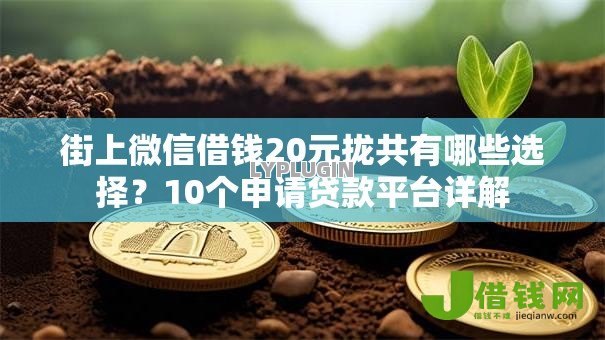 街上微信借钱20元拢共有哪些选择？10个申请贷款平台详解