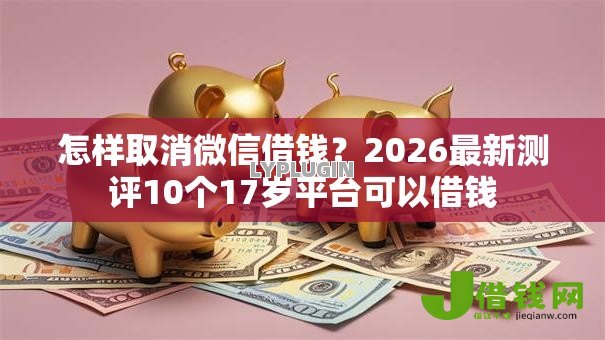 怎样取消微信借钱？2026最新测评10个17岁平台可以借钱