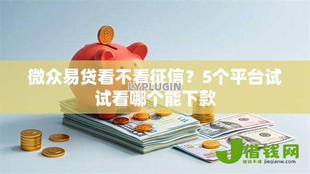 微众易贷看不看征信？5个平台试试看哪个能下款
