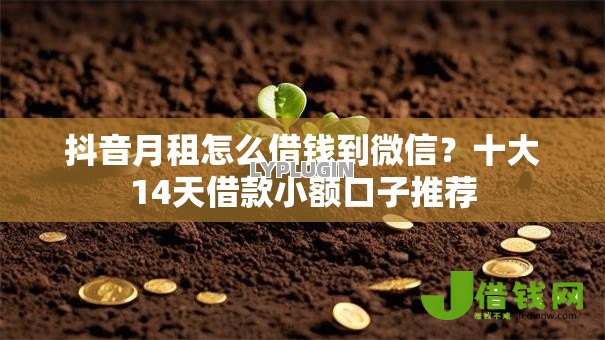 抖音月租怎么借钱到微信?十大14天借款小额口子推荐 抖音月租怎么借钱到微信?十大14天借款小额口子推荐