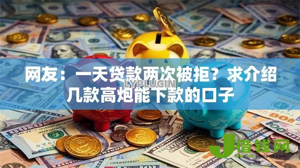 网友：一天贷款两次被拒？求介绍几款高炮能下款的口子