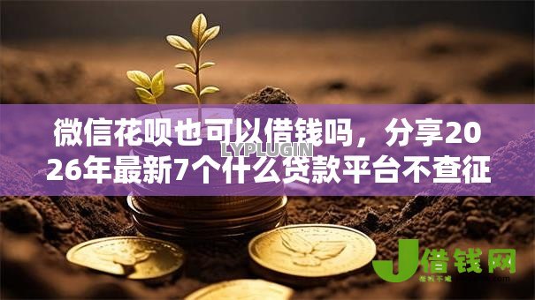 微信花呗也可以借钱吗，分享2026年最新7个什么贷款平台不查征信