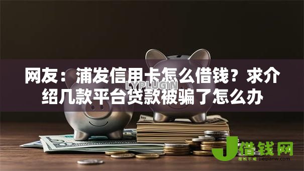 网友：浦发信用卡怎么借钱？求介绍几款平台贷款被骗了怎么办