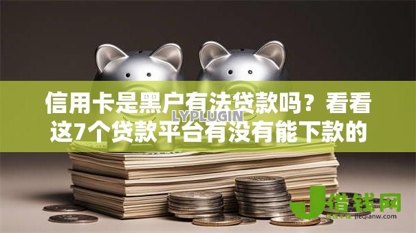 信用卡是黑户有法贷款吗？看看这7个贷款平台有没有能下款的