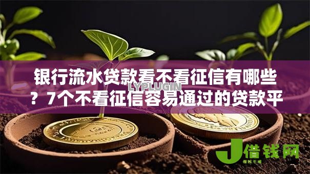 银行流水贷款看不看征信有哪些？7个不看征信容易通过的贷款平台推荐给你