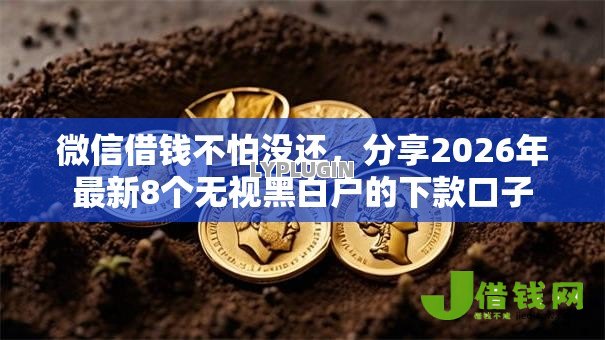 微信借钱不怕没还,分享2026年最新8个无视黑白户的下款口子 微信借钱不怕没还,分享2026年最新8个无视黑白户的下款口子