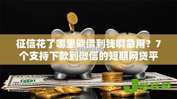 征信花了哪里能借到钱啊急用?7个支持下款到微信的短期网贷平台15天 征信花了哪里能借到钱啊急用?7个支持下款到微信的短期网贷平台15天