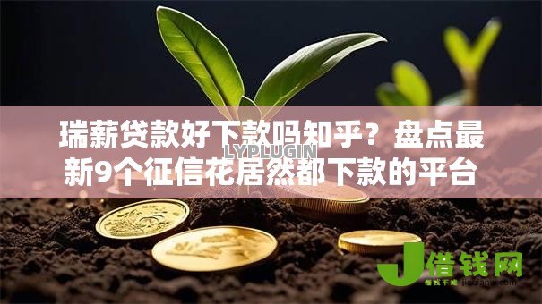瑞薪贷款好下款吗知乎?盘点最新9个征信花居然都下款的平台 瑞薪贷款好下款吗知乎?盘点最新9个征信花居然都下款的平台